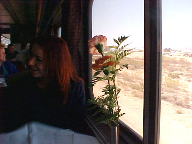 pic17503.jpg (64 KB)
