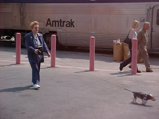 pic17644.jpg (49 KB)