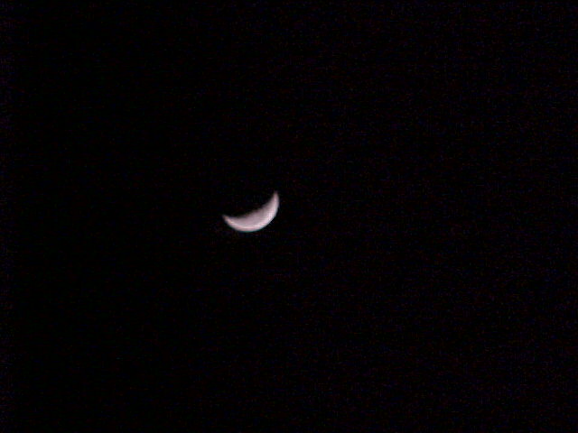 pic17402.jpg (33 KB)