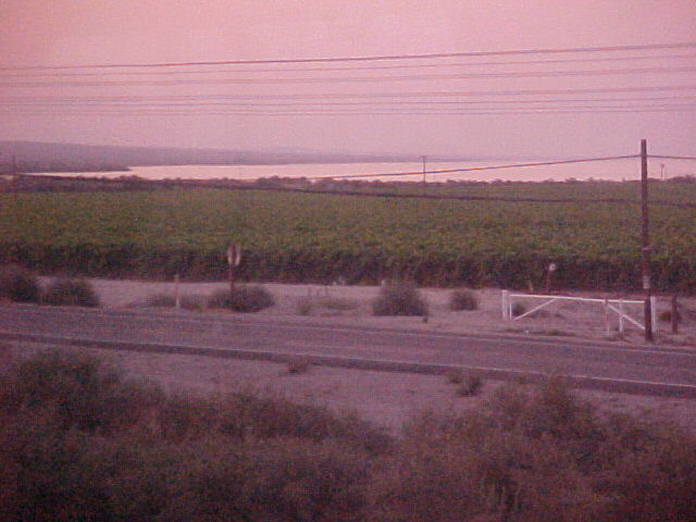pic17412.jpg (53 KB)