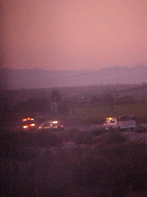 pic17418.jpg (31 KB)