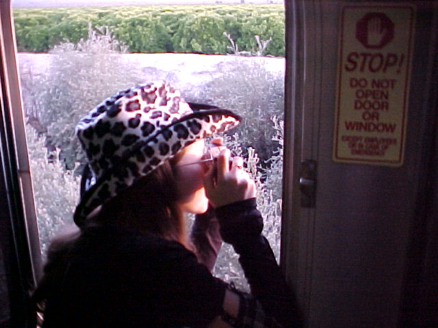 pic17422.jpg (62 KB)