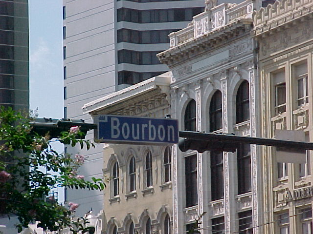 pic17875.jpg (82 KB)
