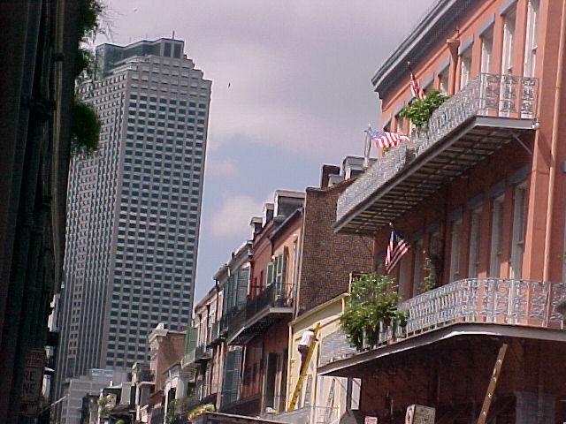 pic17894.jpg (79 KB)
