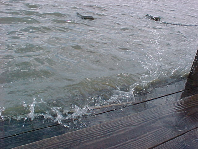 pic17958.jpg (68 KB)