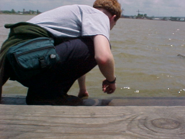 pic17959.jpg (42 KB)