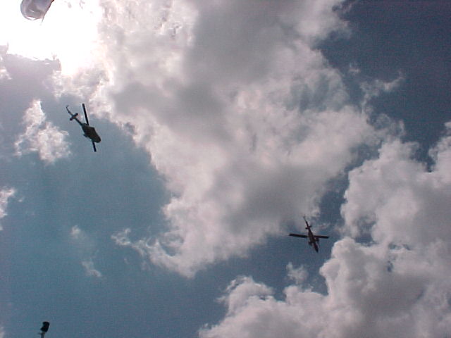 pic18019.jpg (35 KB)