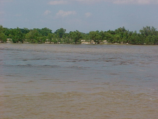 pic18036.jpg (43 KB)