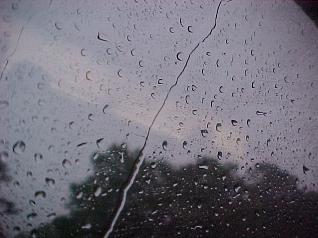 pic18224.jpg (58 KB)